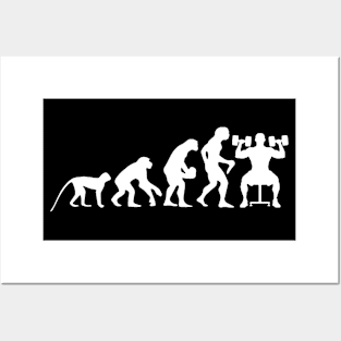 Fitness evolution Posters and Art